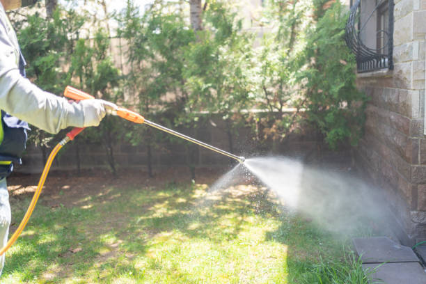 Wasp Removal Services in Cordova, NC