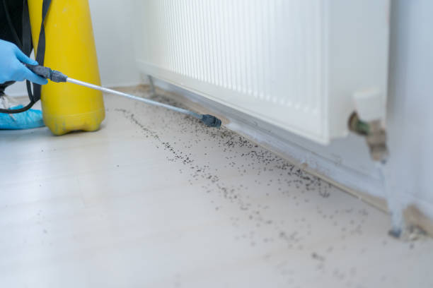 Best Affordable Exterminators  in Cordova, NC